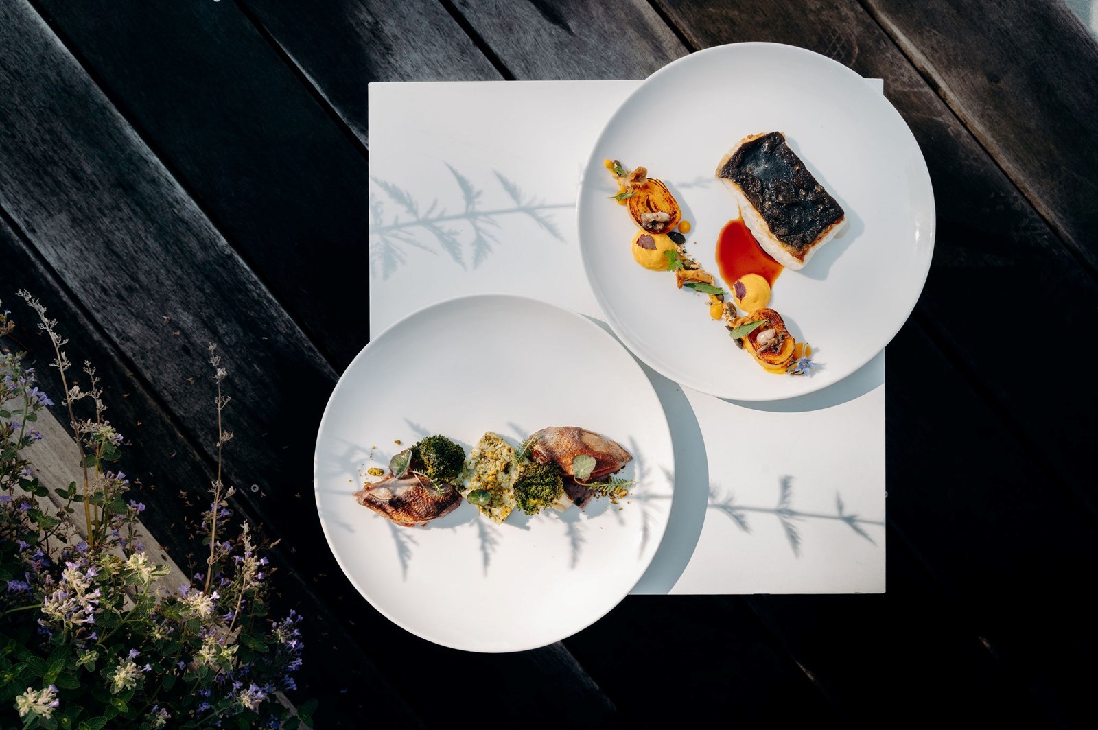 Les ateliers d'hiver