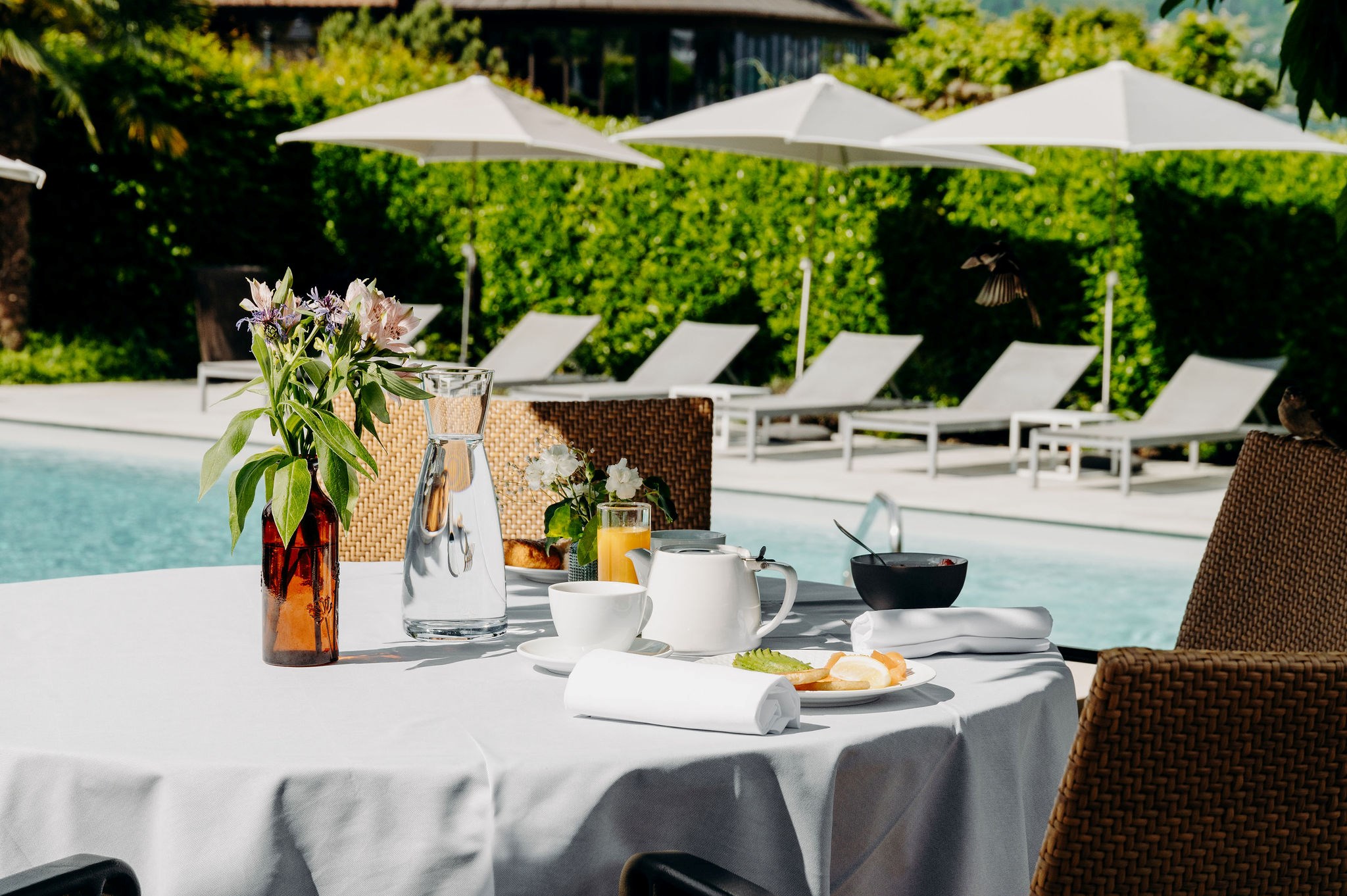 Partez à la découverte des secrets du Roc de Chère - Copie